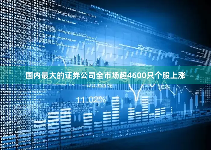 国内最大的证券公司全市场超4600只个股上涨