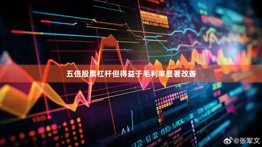 五倍股票杠杆但得益于毛利率显著改善